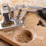 Cómo elegir una bisagra de cocina: tipos, medidas y consejos para no equivocarte